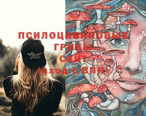 прущий лед Малоярославец