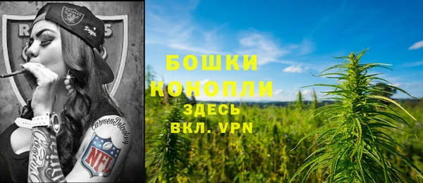 ешки Козельск