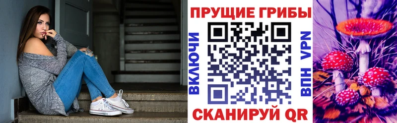 Псилоцибиновые грибы мицелий  ОМГ ОМГ ссылка  Малгобек 